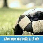 Hướng Dẫn Cách Đọc Kèo Châu Á Căn Bản Dành Cho Newbie