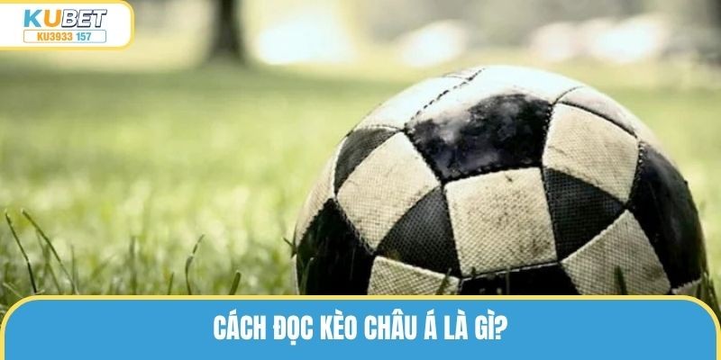 Hướng Dẫn Cách Đọc Kèo Châu Á Căn Bản Dành Cho Newbie