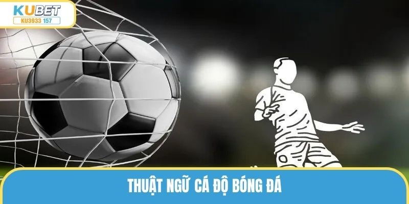 Thuật Ngữ Cá Độ Bóng Đá Chi Tiết Người Chơi Cần Hiểu