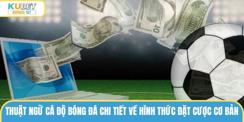 Thuật ngữ cá độ bóng đá chi tiết về hình thức đặt cược cơ bản