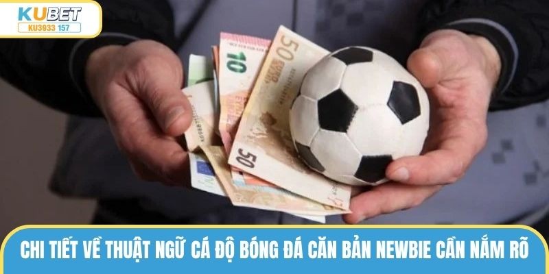 Chi tiết về thuật ngữ cá độ bóng đá căn bản newbie cần nắm rõ