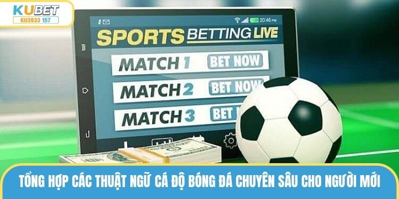 Tổng hợp các thuật ngữ cá độ bóng đá chuyên sâu cho người mới