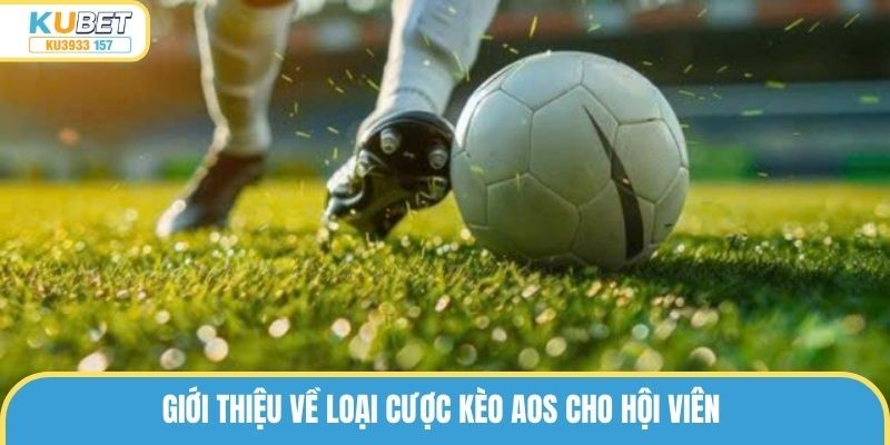 Giới thiệu về loại cược kèo Aos cho hội viên